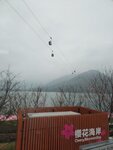 IMG_20260131_141151
