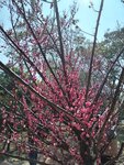 IMG_20260202_124116