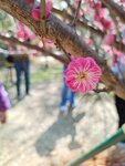 IMG_20260202_124141