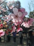 IMG_20260202_124355