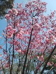 IMG_20260202_124420
