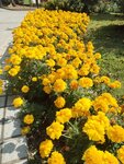 IMG_20260202_132704