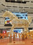 IMG_20260208_123921