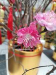 IMG_20260209_152941