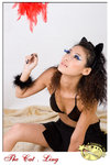 800lingthecat005