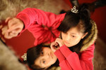 LMF_0729