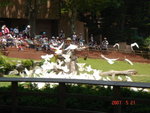 DSC02245