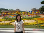 DSC02254