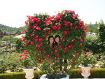 DSC02270