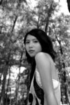 cherry_04_17
