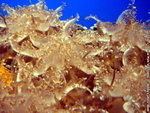 DSC03116a