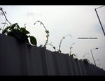 DSC04990a