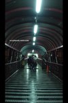 DSC05063a