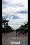 DSC05183a