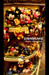 DSC05197a