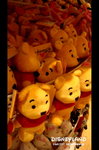 DSC05203a