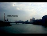 DSC05490a