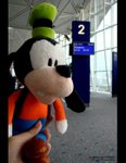 DSC05496a