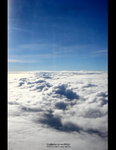 DSC05505a
