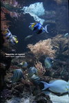 IMG_1453a