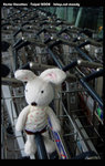 DSC07134a