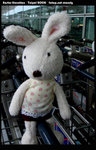 DSC07135a