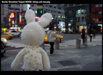 DSC07159a