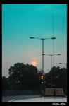 DSC07982a
