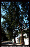 IMG_0727a