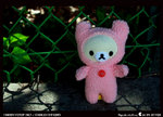 IMG_0734a