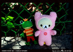 IMG_0736a