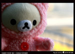 IMG_0742a