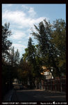 IMG_0746a