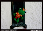 IMG_0759a