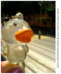 DSC03491A