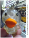 DSC03495A