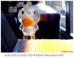 DSC03497A