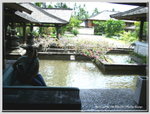 CIMG0034a