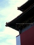 1CIMG0278