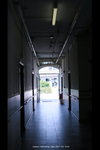 Picture 215a