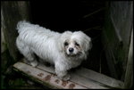IMG_0294a