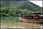 IMG_0482a
