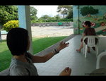 DSC04937a