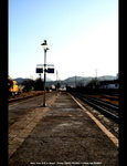 IMG_9273A