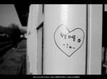 IMG_9296a