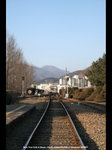 IMG_9321a
