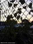 DSC00517a