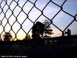 DSC00518a