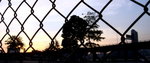 DSC00518b