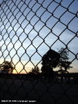DSC00519a